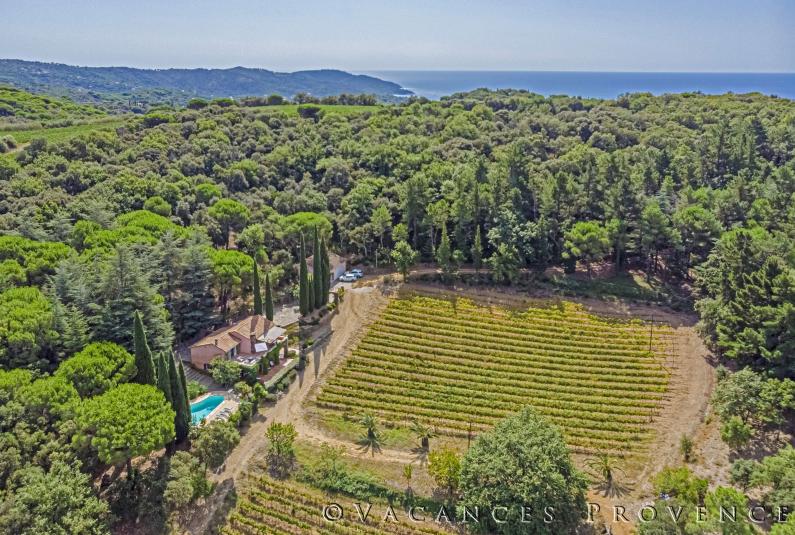 La Croix Valmer 1204